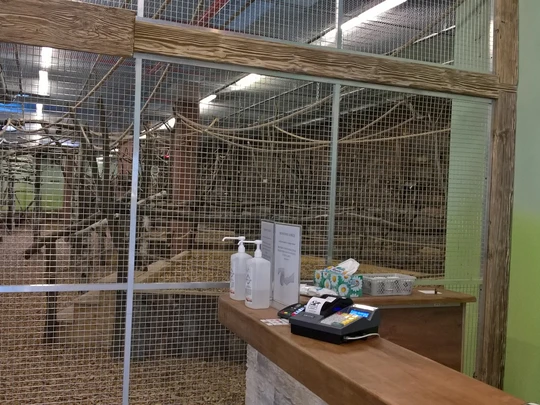 Papugarnia w Rzeszowie